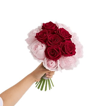Peony Petal Harmony