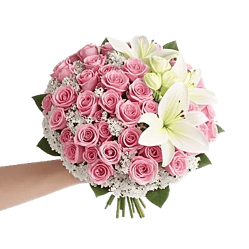 Blushing Rose Symphony