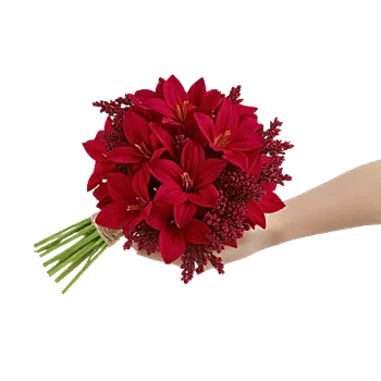 Crimson Rose Elegance