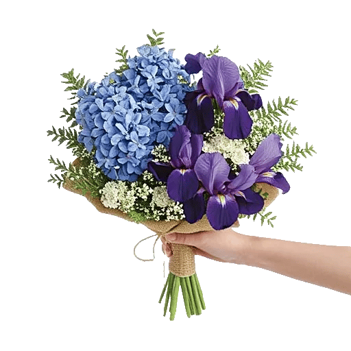 Serenity Blossom Grace