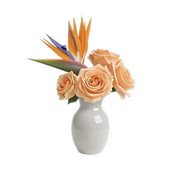 Petal Radiance Bliss