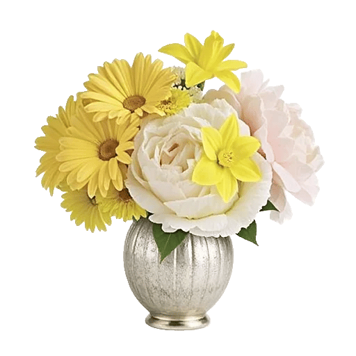 Ivory Blossom Radiance