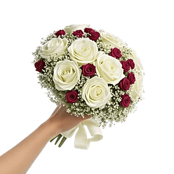 Blossom Radiant Whisper