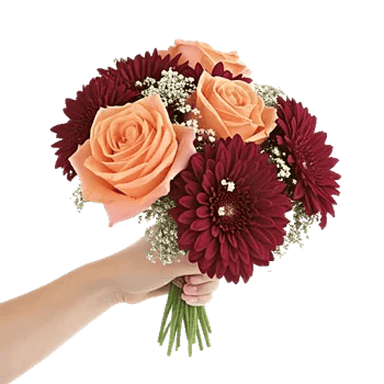 Blushing Rose Symphony