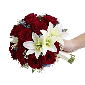 Blushing Rose Symphony