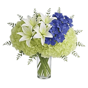 Graceful Lily Display