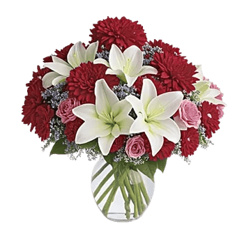 Ivory Blossom Radiance