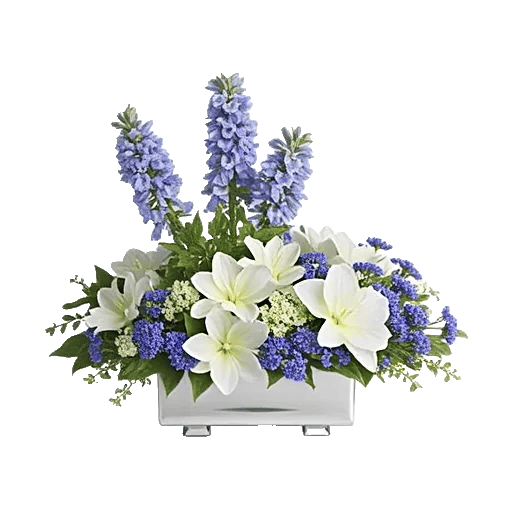 Blossom Petal Serenity