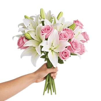 Blossom Harmony Display