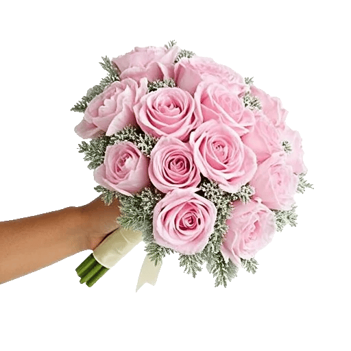 Pastel Pink Roses