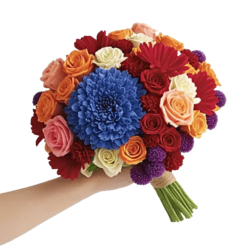 Blossom Petal Serenity