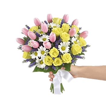 Blossom Harmony Display