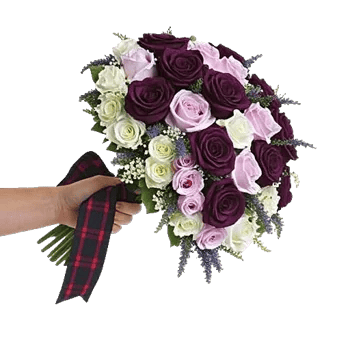 Delicate Petal Cascade