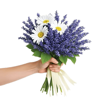 Delicate Petal Cascade