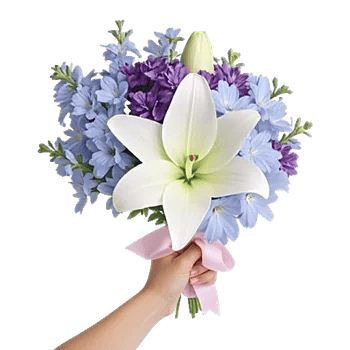 Frosted Lily Spread