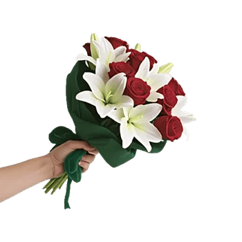 Crimson Rose Elegance