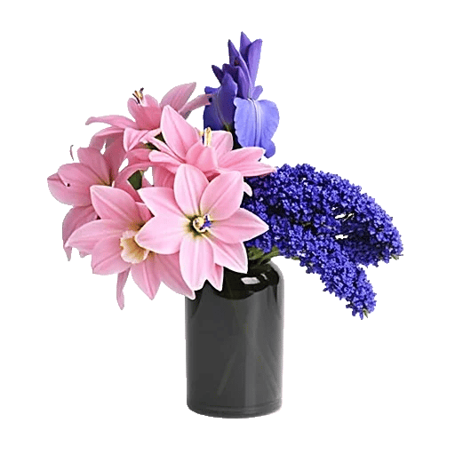 Ivory Blossom Radiance