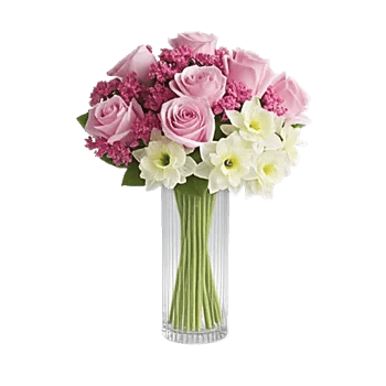 Radiant Rose Symphony