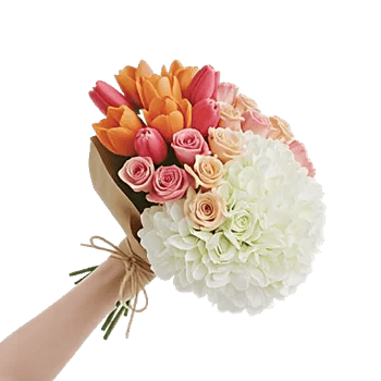Blossom Glow Symphony