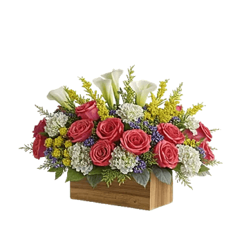 Delicate Petal Cascade