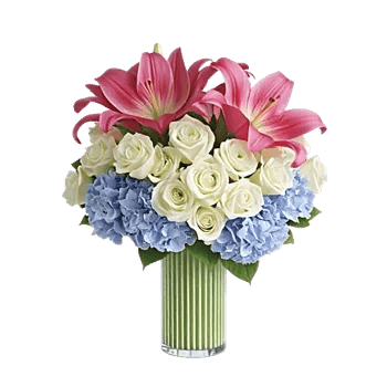 Graceful Lily Display