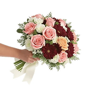 Blushing Rose Symphony