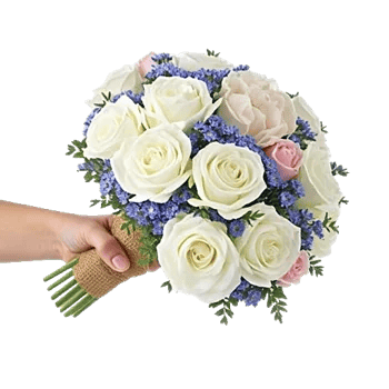 Serene Petal Harmony