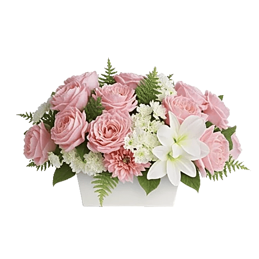 Delicate Petal Cascade