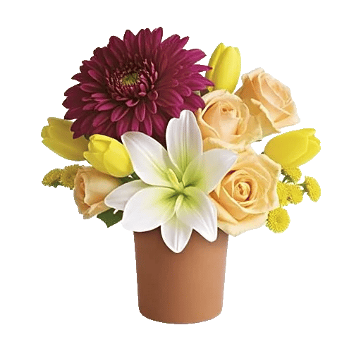 Petal Radiance Bliss