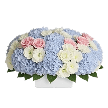 Serene Petal Harmony