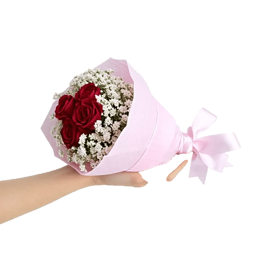Crimson Rose Elegance