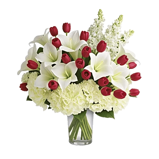 Elegant Calla Lilies