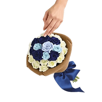 Elegant Blue Roses
