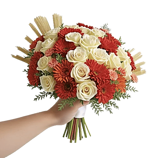 Blushing Rose Symphony