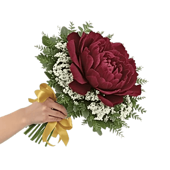 Peony Petal Harmony