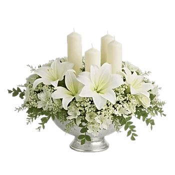 Ivory Blossom Radiance