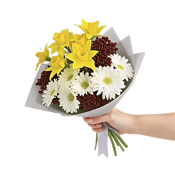 Blossom Harmony Display