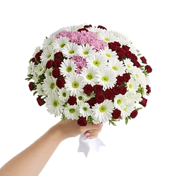 Blossom Harmony Display