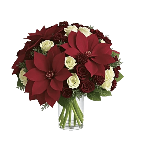 Petal Radiance Bliss