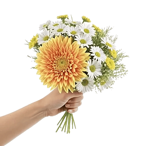 Radiant Bloom Cascade