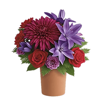 Crimson Blossom Harmony