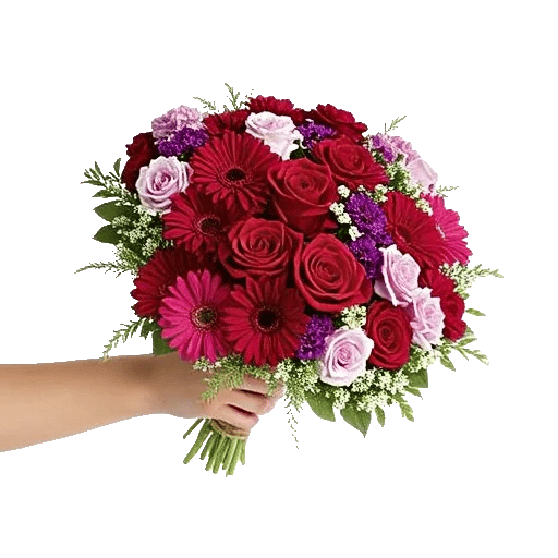 Crimson Rose Elegance