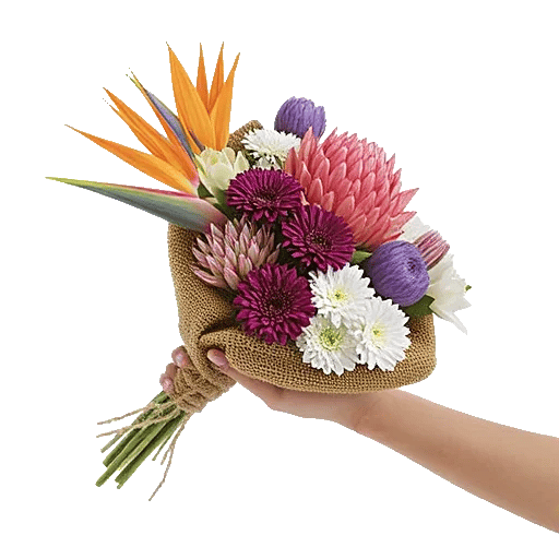 Petal Harmony Bliss