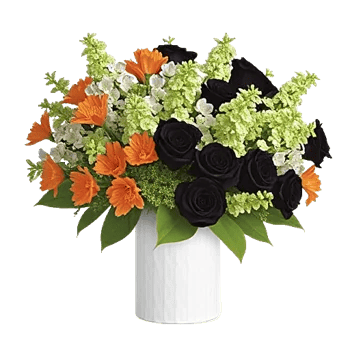 Petal Radiance Bliss