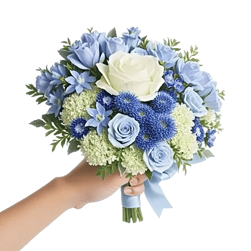 Blossom Petal Serenity