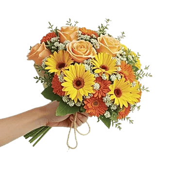 Petal Harmony Bliss