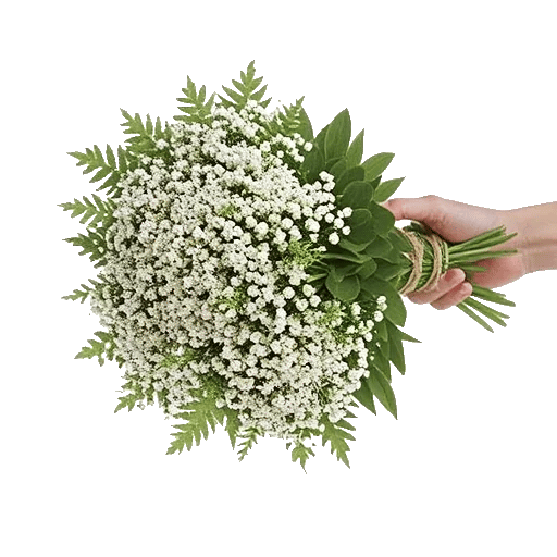 Delicate Petal Cascade