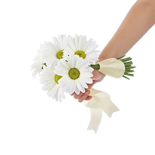 Blossom Harmony Display