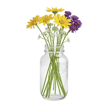 Enchanting Daisy Garden