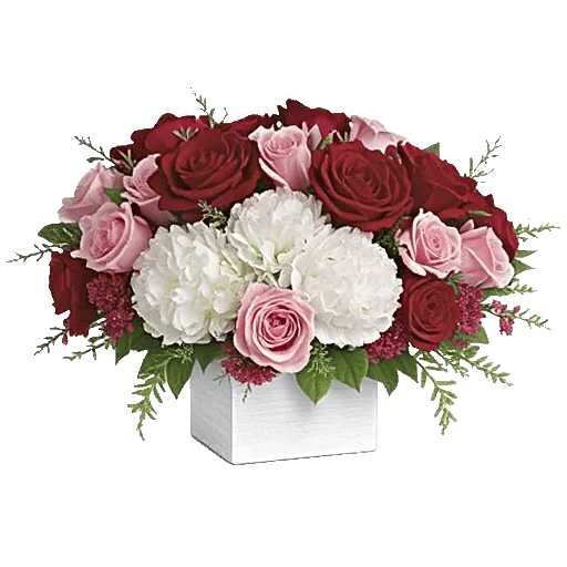 Delicate Petal Cascade